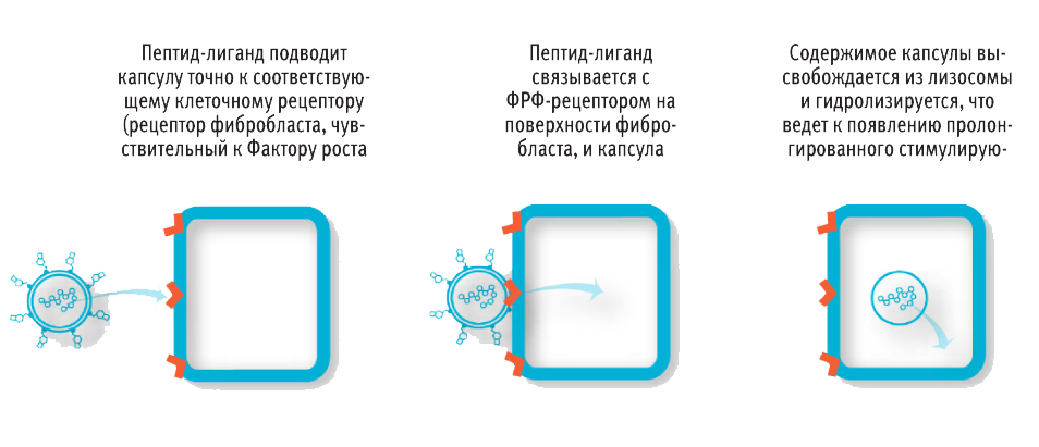 Prolift-Antiaging copy.png Prolift-Antiaging copy.png