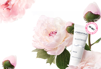 Ваша светлость – подарок!