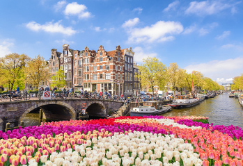 Голландия: цветение тюльпанов
