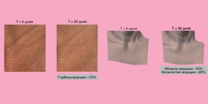 Картинка с исследованием_1.jpg