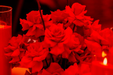  КОНФЕРЕНЦИЯ CHRISTINA В МОСКВЕ 2025