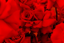  КОНФЕРЕНЦИЯ CHRISTINA В МОСКВЕ 2025