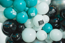 Центр «НикОль» на AMEF 2017