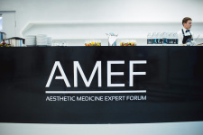 Центр «НикОль» на AMEF 2017