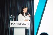 Центр «НикОль» на AMEF 2017