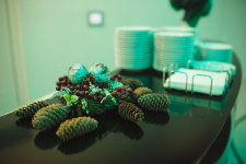 Центр «НикОль» на AMEF 2017